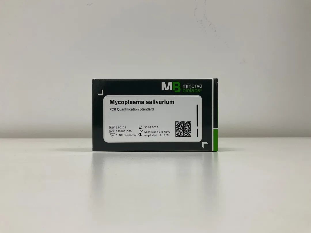 Mycoplasma salivarium  PCR Quantification  Standards DNA  唾液支原體PCR絕對定量標準品