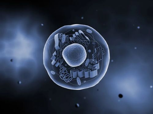 2023811
