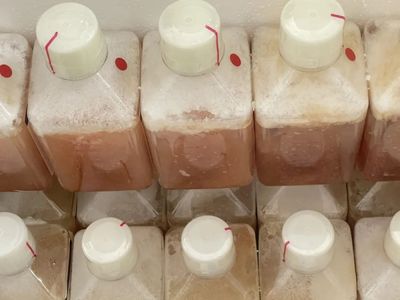 胎牛血清凍存