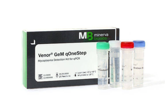 MB Venor?GeM支原體檢測試劑盒（qPCR一步法）