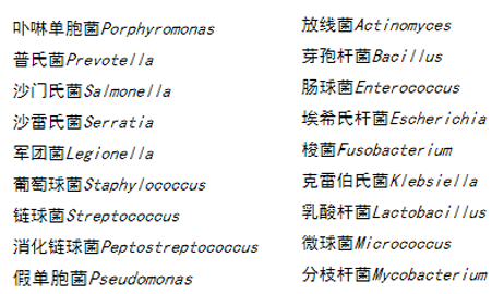 真菌污染