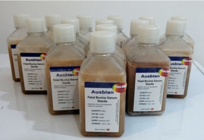Ausbian?特級進(jìn)口胎牛血清