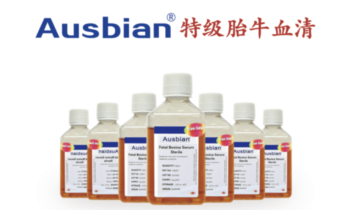 特級胎牛血清