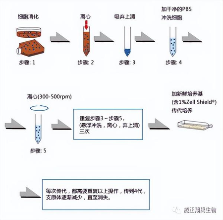 支原體去除劑懸浮沖洗法