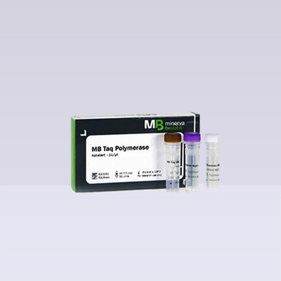 MB Taq聚合酶1 &nbsp;Unit/µl &nbsp;浓度 