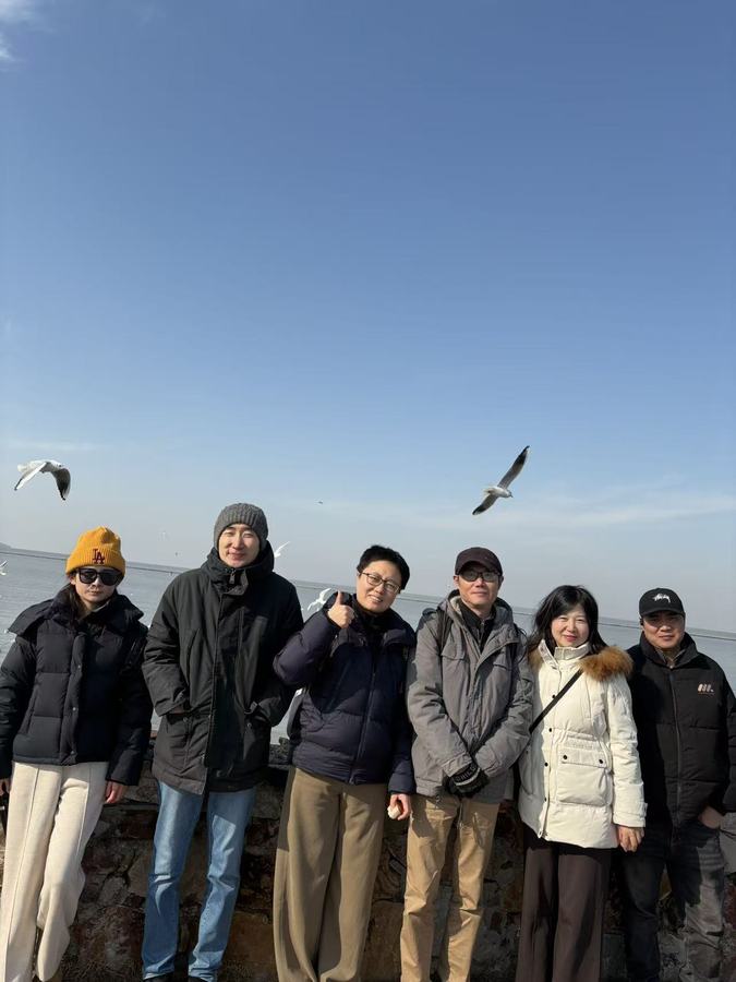 海鸥.jpg