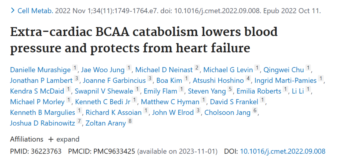 心外BCAA分解代谢可降低血压，预防心力衰竭 缔一生物
